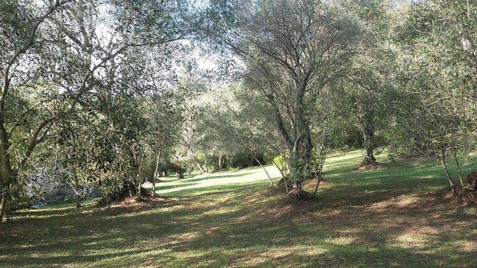 Karamali Green Danilia Villas ゴウヴィア エクステリア 写真